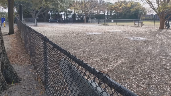 East Bay Dog Park photo 1